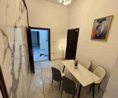 VIP Furnished Apartments for Rent in Al Ain