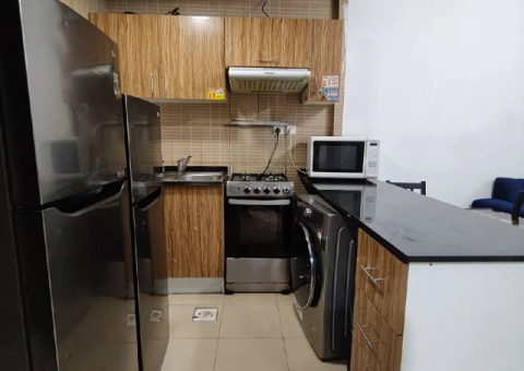 Furnished One-Bedroom Apartment for Rent - 3/4