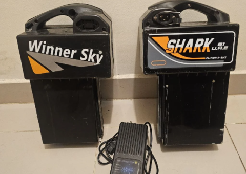 Electric Scooter Batteries – Set of 2 with Original Charger