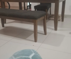 Dining Table Set – Excellent Condition