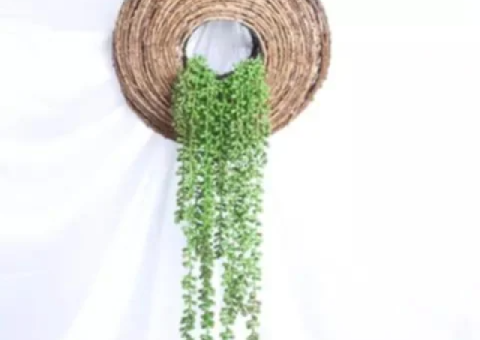 Artificial Hanging Plant – Brand New in Packaging - 2/4