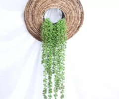 Artificial Hanging Plant – Brand New in Packaging