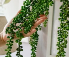 Artificial Hanging Plant – Brand New in Packaging