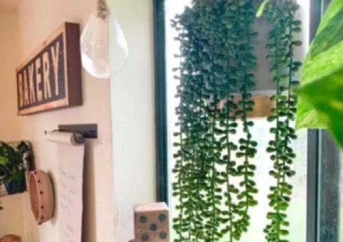 Artificial Hanging Plant – Brand New in Packaging - 4/4