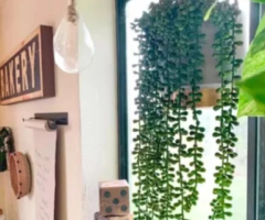 Artificial Hanging Plant – Brand New in Packaging