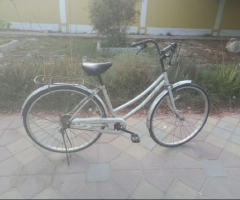 Bicycle for Sale – Umm Al Quwain