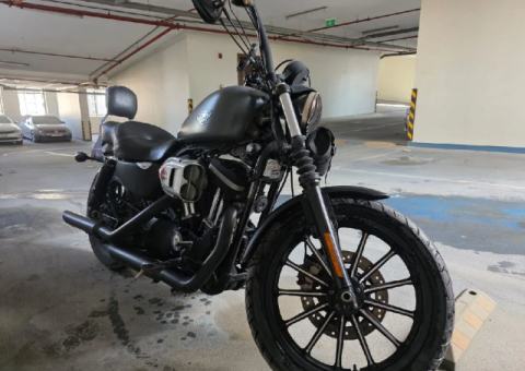 Harley Davidson 883 – 2010 Model, Fully Serviced - 2/4