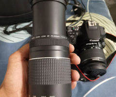 Canon 250D DSLR – Excellent Condition with Lenses & Batteries