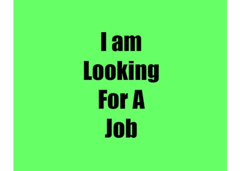 Looking for job
